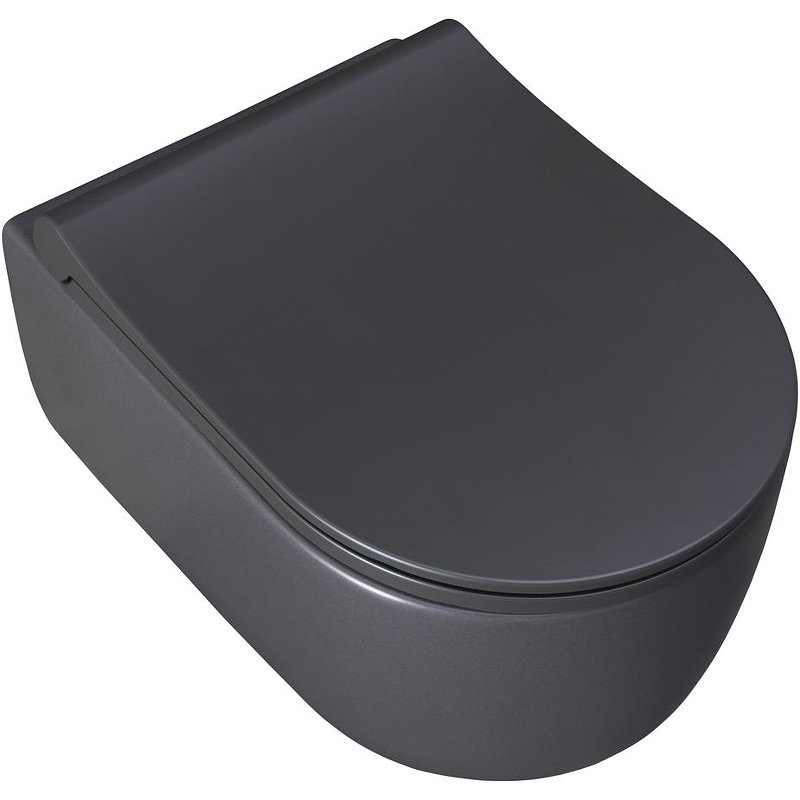 Чаша подвесного унитаза Allen Brau Priority 4.31002.AN антрацит Чаша подвесного унитаза Allen Brau Priority 4.31002.AN антрацит