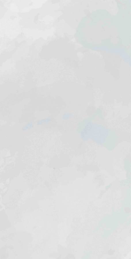 Плитка Mon Cloudy Garden 30х60 Плитка Mon Cloudy Garden 30х60