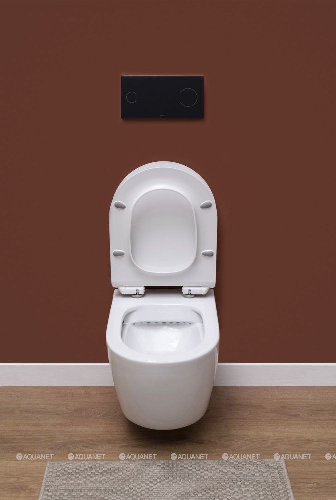 Унитаз подвесной Aquanet Rimless Cetus-BW BL-102N-WHT Унитаз подвесной Aquanet Rimless Cetus-BW BL-102N-WHT