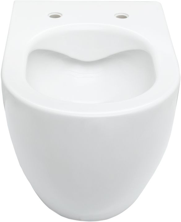 Унитаз с инсталляцией Allen Brau Reality 4.32006.20/8.9466.0.000.000.1 белый глянец Унитаз с инсталляцией Allen Brau Reality 4.32006.20/8.9466.0.000.000.1 белый глянец