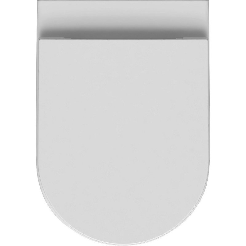 Приставной унитаз Allen Brau Reality 4.32004.20 Приставной унитаз Allen Brau Reality 4.32004.20