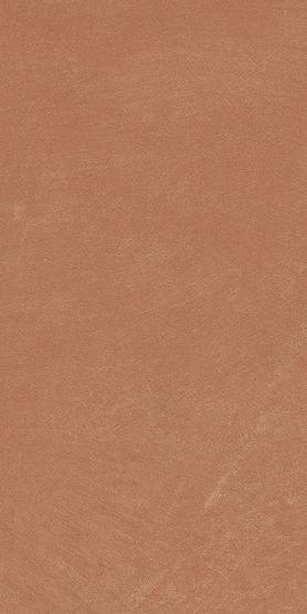 Керамогранит Anti-Slip Argillae Coral Rect 30х60 Керамогранит Anti-Slip Argillae Coral Rect 30х60