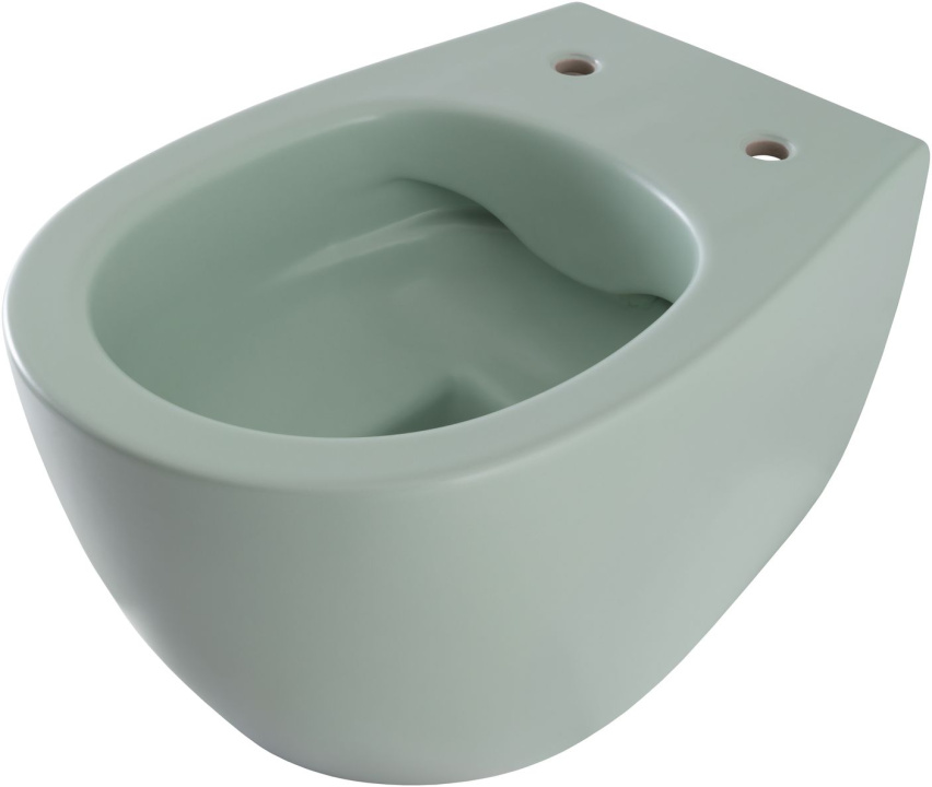 Чаша подвесного унитаза Allen Brau Fantasy 4.11004.MT мятный Чаша подвесного унитаза Allen Brau Fantasy 4.11004.MT мятный