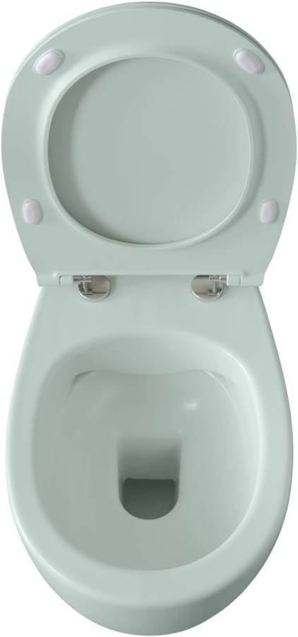 Чаша подвесного унитаза Allen Brau Fantasy 4.11004.MT мятный Чаша подвесного унитаза Allen Brau Fantasy 4.11004.MT мятный