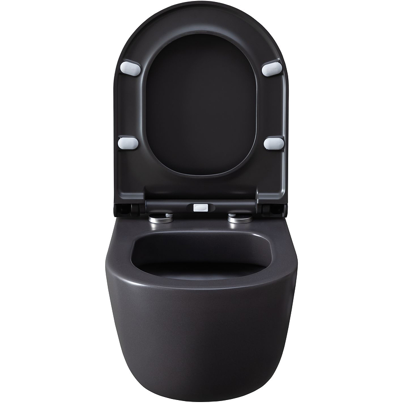 Чаша подвесного унитаза Allen Brau Priority 4.31002.AN антрацит Чаша подвесного унитаза Allen Brau Priority 4.31002.AN антрацит