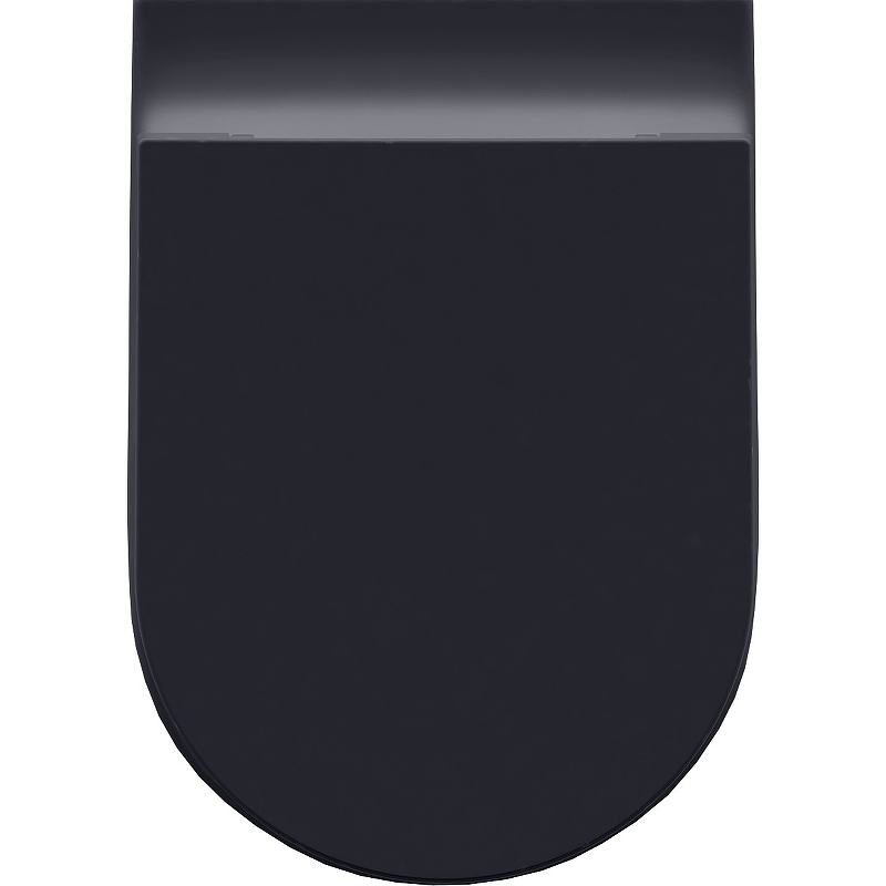 Чаша приставного унитаза Allen Brau Reality 4.32004.AN антрацит Чаша приставного унитаза Allen Brau Reality 4.32004.AN антрацит