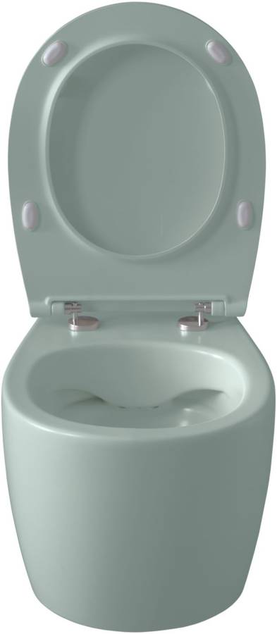 Чаша подвесного унитаза Allen Brau Fantasy 4.11004.MT мятный Чаша подвесного унитаза Allen Brau Fantasy 4.11004.MT мятный