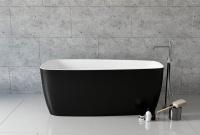 Акриловая ванна Aquanet Family Trend 170x78 90778 Matt Finish (панель Black matte) Акриловая ванна Aquanet Family Trend 170x78 90778 Matt Finish (панель Black matte)