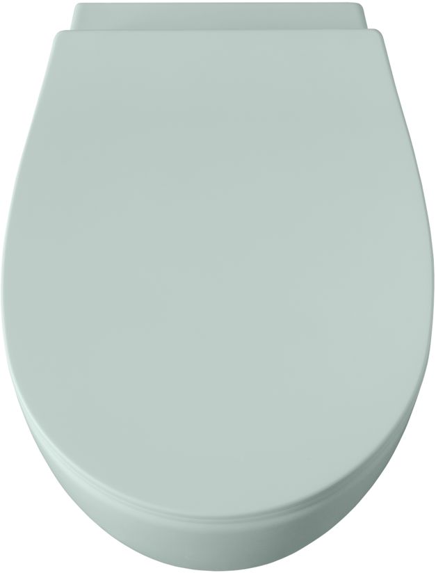 Чаша подвесного унитаза Allen Brau Fantasy 4.11004.MT мятный Чаша подвесного унитаза Allen Brau Fantasy 4.11004.MT мятный