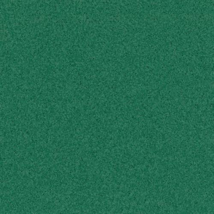 Линолеум Tarkett Primo Plus 312 Линолеум Tarkett Primo Plus 312