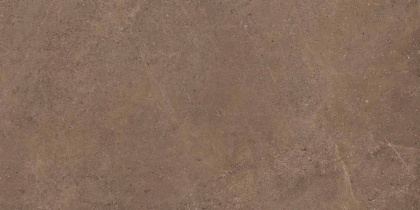 Керамогранит GO02 60x120x10 Непол.Рект.