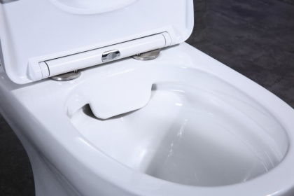 Чаша напольного унитаза BelBagno STEAM BB130CPR