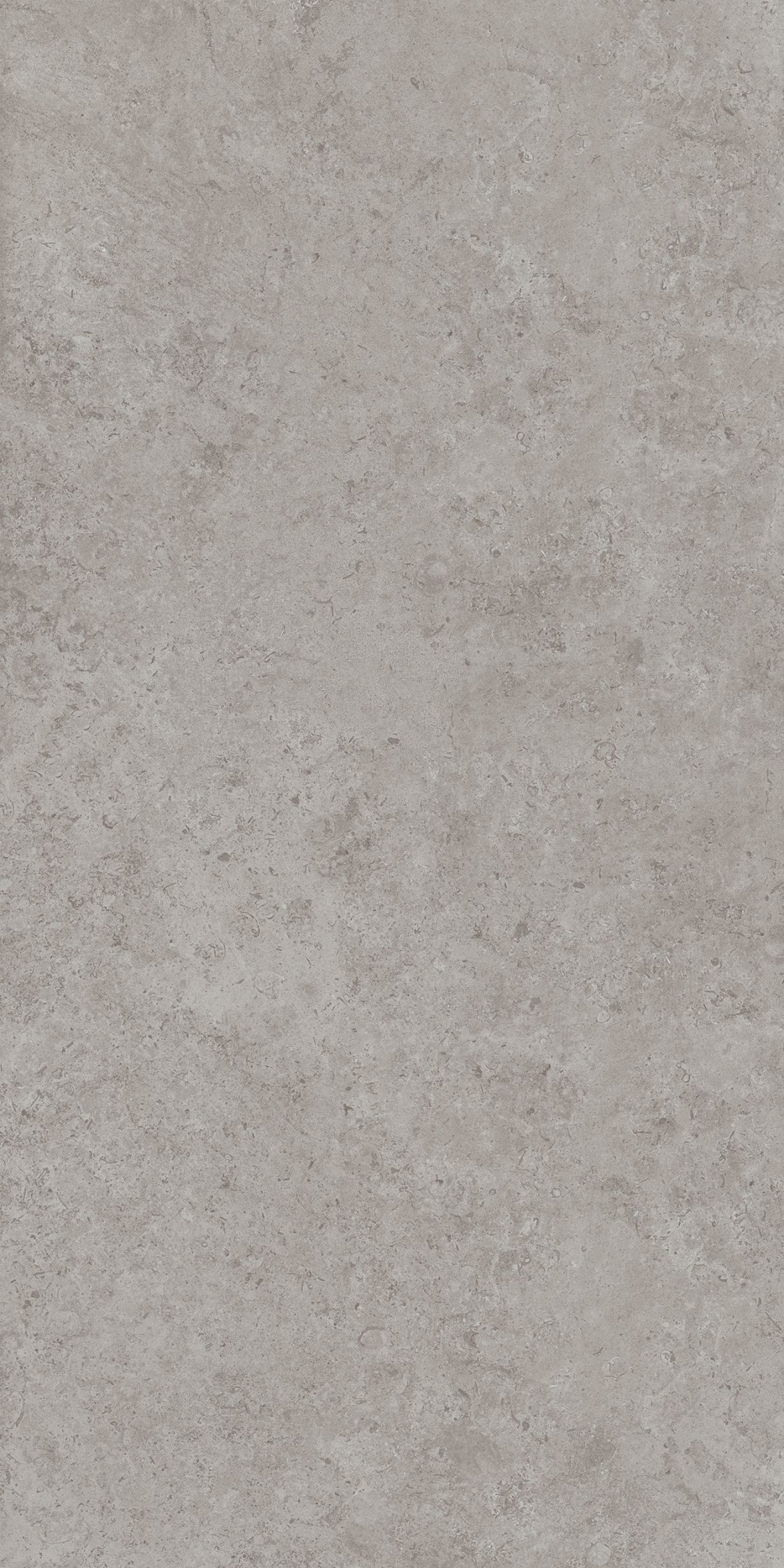 Керамогранит DD590600R Про лаймстоун АТ серый (238,5см*119,5см*11мм) (15шт/42,751м2) камень, м2