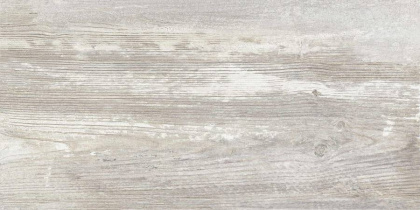 GT225VG Керамогранит Antares_GT Сер. 30x60 1\58,32