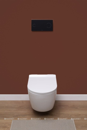 Унитаз подвесной Aquanet Rimless Cetus-BW BL-102N-WHT Унитаз подвесной Aquanet Rimless Cetus-BW BL-102N-WHT