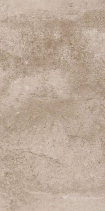 EE02 30,6x60,9x8 Непол. (Керамический гранит)