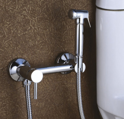 CZR-DA3-01 Смеситель для душа и гигиенического душа со штуцером с держателем, хром