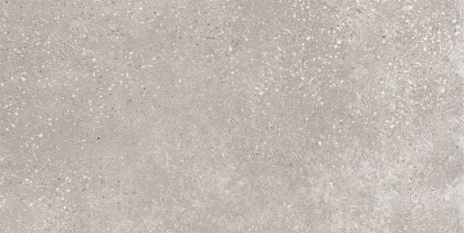 GT182VG Керамогранит Сoral RoСk_GT светло-сер. 30x60 _ 1\58,32