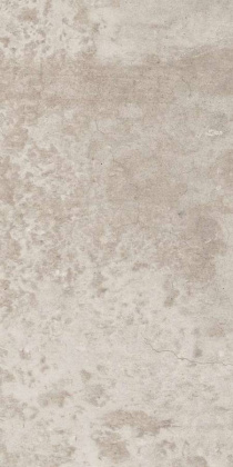 EE01 30,6x60,9x8 Непол. (Керамический гранит)