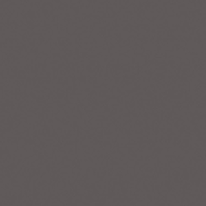 Керамогранит RW033 60x60 Непол.Рект. Керамогранит RW033 60x60 Непол.Рект.