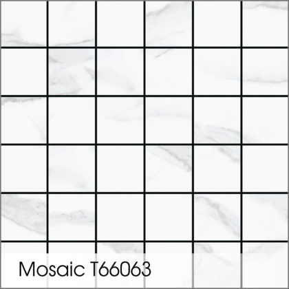 Керамогранит T66063 60*60 (1.44 кв.м.=4 шт.)
