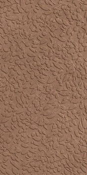 Керамогранит Nisus Terra Rect 30х60 Керамогранит Nisus Terra Rect 30х60