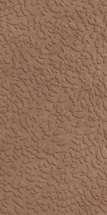 Керамогранит Nisus Terra Rect 30х60 Керамогранит Nisus Terra Rect 30х60