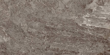 Керамогранит RC01 30,6x60,9x8 Непол.