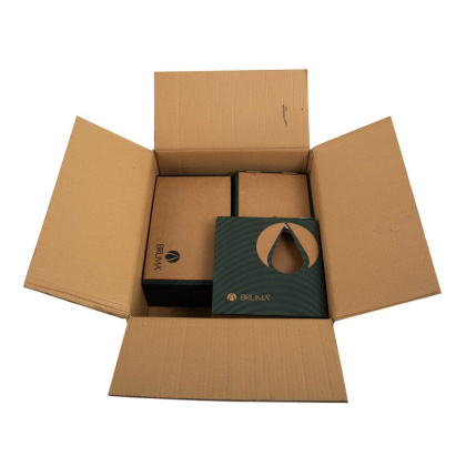 CZR-B-VDM1-T-BIO Встраиваемый термостатический смеситель для ванны и душа однорычажный, в комплекте с ручным душем Исполнение: Белый матовый  CZR-B-VDM1-T-BIO Встраиваемый термостатический смеситель для ванны и душа однорычажный, в комплекте с ручным душем Исполнение: Белый матовый