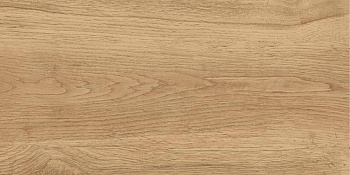 GT220VG Керамогранит Florida_GT Беж. 30x60 1\58,32