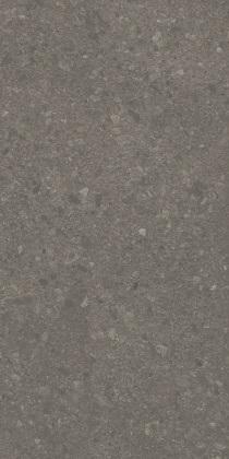 Чеппо ди Гре коричневый матовый обрезной 119,5x238,5x1,1