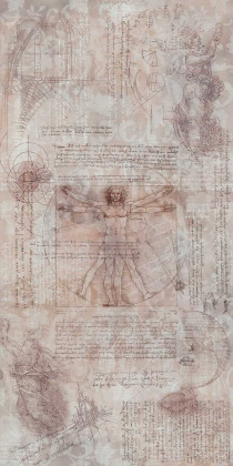 Декор VT\A153\SG5918R Атлас обрезной 119.5*238.5*11, шт