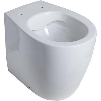 Приставной унитаз Allen Brau Fantasy 4.11007.20 Приставной унитаз Allen Brau Fantasy 4.11007.20