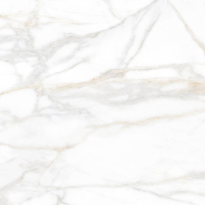 SM02 60x60x10 Полир. (Керамический гранит)