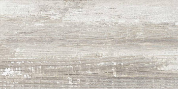 GT225VG Керамогранит Antares_GT Сер. 30x60 1\58,32