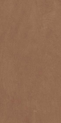 Керамогранит Anti-Slip Argillae Terra Rect 30х60