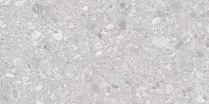 Matrix Керамогранит светло-серый K952681R0001LPER 60х120