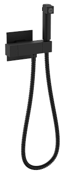 Смесители Raglo с гигиеническим душем встраиваемый с термостатом R24.56.06