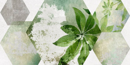 Плитка настенная 34090 Focus зеленый ботаника 25*50 (12шт/1,5м2), м2