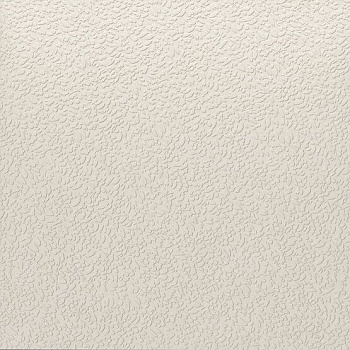 Керамогранит Nisus Neve Rect 60х60 Керамогранит Nisus Neve Rect 60х60