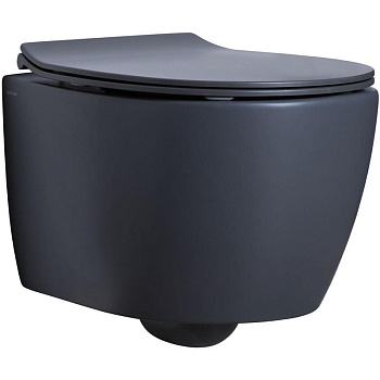 Чаша подвесного унитаза Allen Brau Fantasy 4.11004.AN антрацит Чаша подвесного унитаза Allen Brau Fantasy 4.11004.AN антрацит