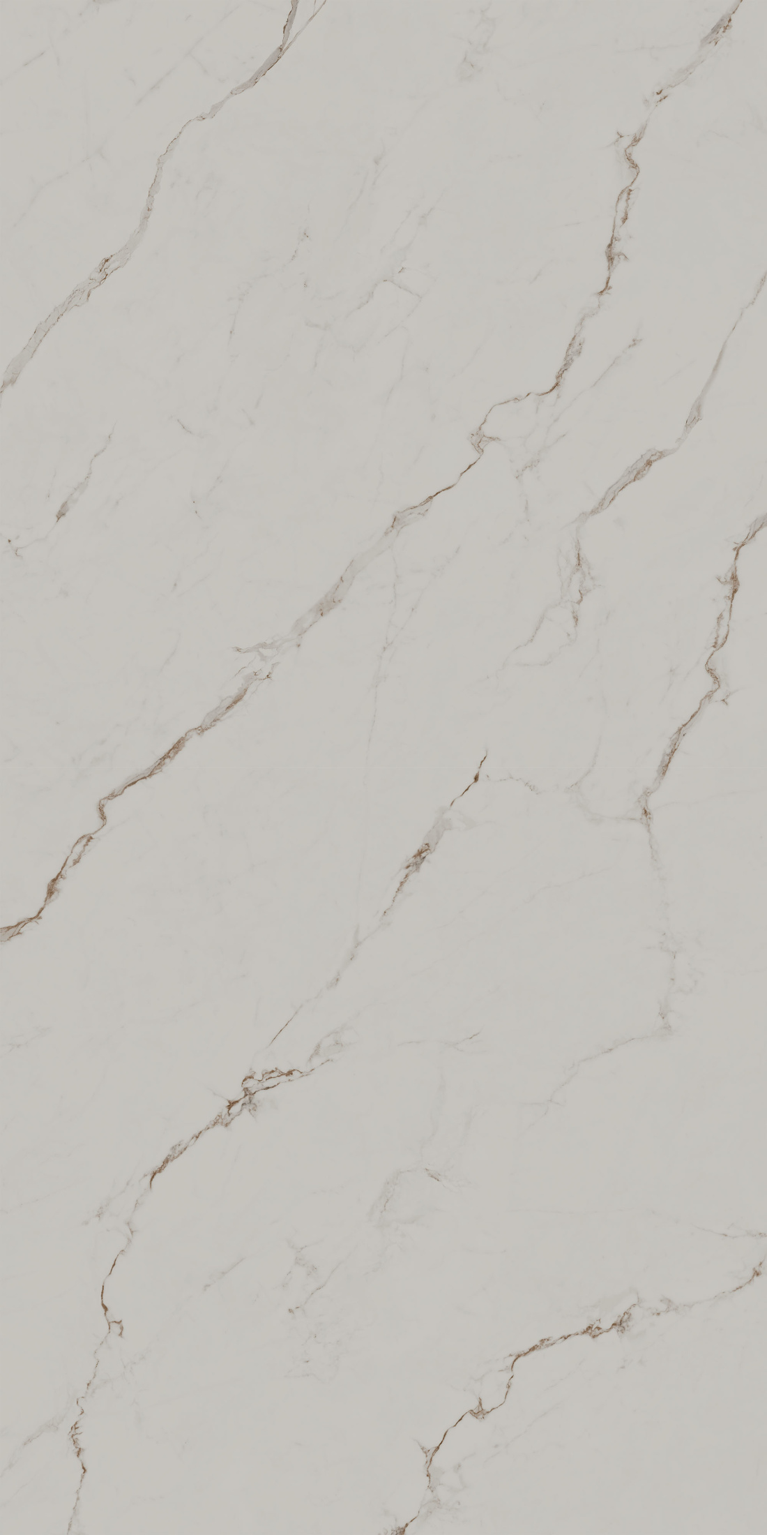 Монте Тиберио бежевый светлый матовый обрезной 119,5x238,5x1,1