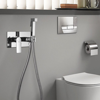 Гигиенический душ со смесителем Rose R255, хром