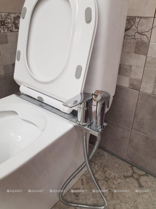 Orange Sofi M43-831cr Смеситель с гигиеническим душем для установки на унитаз. Цвет: хром