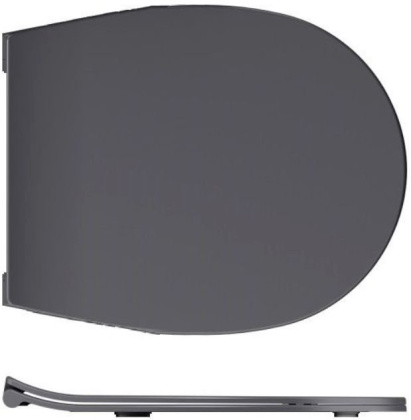 Крышка-сиденье для унитаза Allen Brau Reality 4.32007.AN антрацит Крышка-сиденье для унитаза Allen Brau Reality 4.32007.AN антрацит