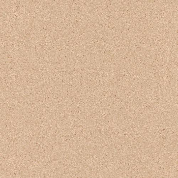 Линолеум Tarkett Primo Plus 302 Линолеум Tarkett Primo Plus 302