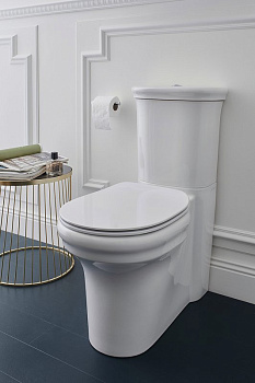 Чаша унитаза  UJAC102-0 Jacob Delafon Cleo белый безободковый, шт. Чаша унитаза  UJAC102-0 Jacob Delafon Cleo белый безободковый, шт.