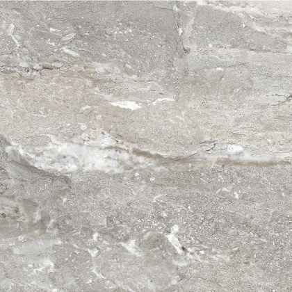 Energy Gris Керамогранит серый SG620422R 60х60 полированный