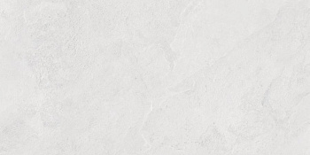 Porter Silver PRO Керамогранит светло-серый LP6012G0171R 59,5х119,1 матовый карвинг R10 STR