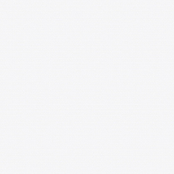 GT40/007 Керамогранит Kakadu_GT Сер. _ 40*40_84,48/1 GT40/007 Керамогранит Kakadu_GT Сер. _ 40*40_84,48/1